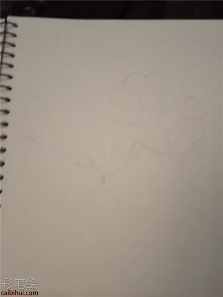 牽牛花彩鉛畫教程