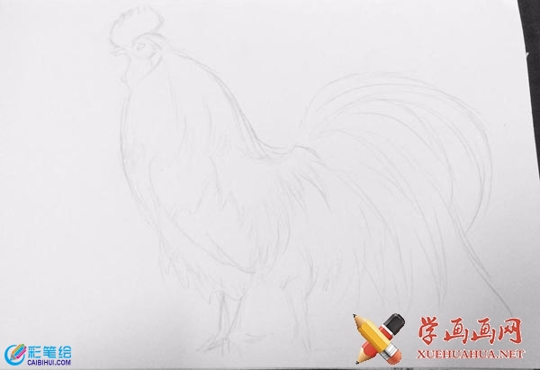 雞公