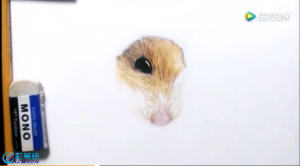 彩鉛手繪立體小老鼠