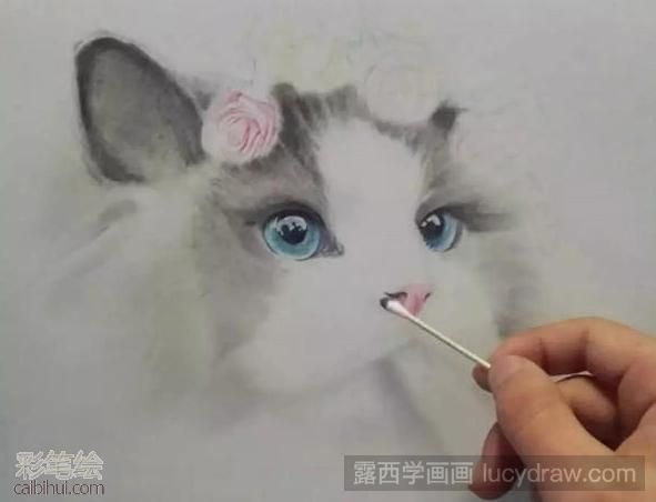 彩鉛畫布偶貓教程