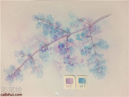 彩鉛畫花卉步驟圖