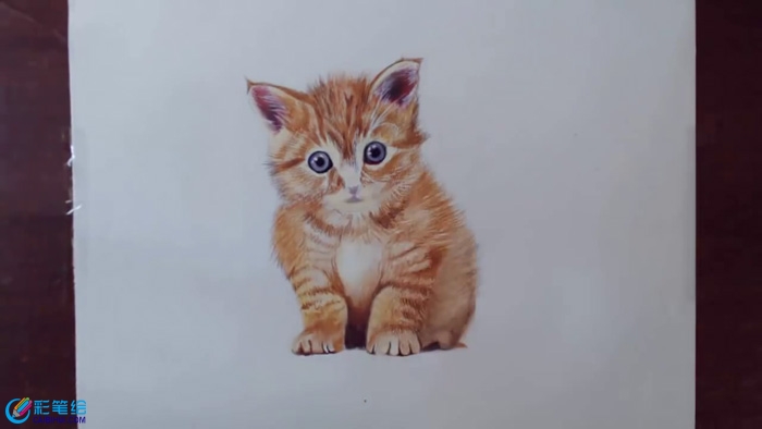 彩鉛畫小貓咪