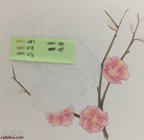 彩鉛畫蝴蝶教程
