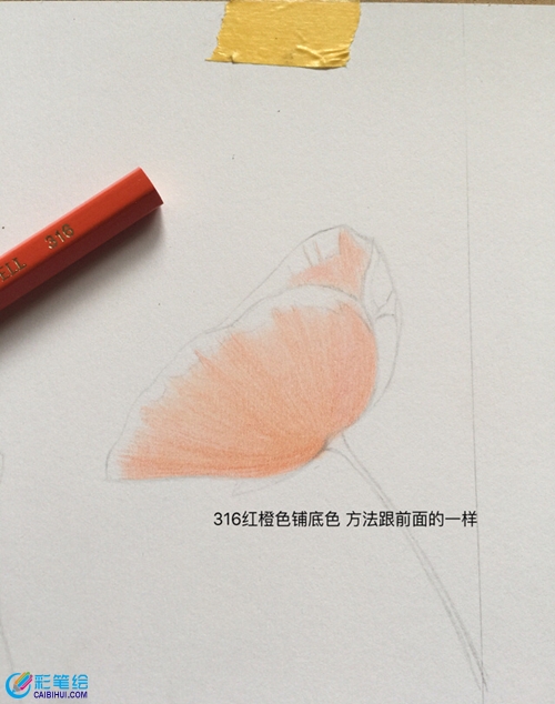 彩鉛虞美人教程