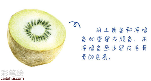 入門(mén)彩鉛畫(huà)獼猴桃教程