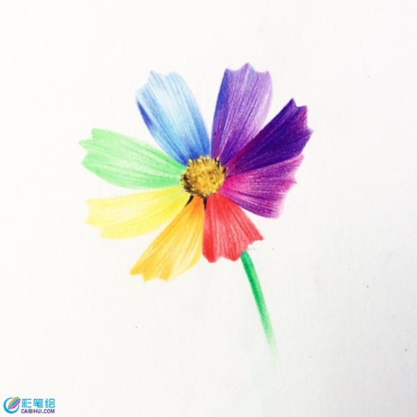 簡(jiǎn)單彩鉛花朵教程圖解：七色花的畫(huà)法