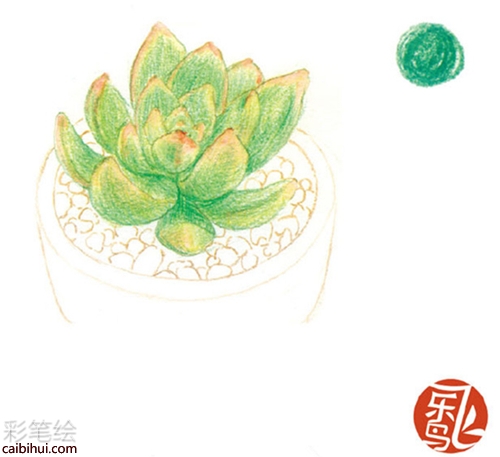 簡單的彩鉛畫多肉步驟