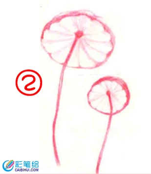 彩鉛畫蘑菇教程