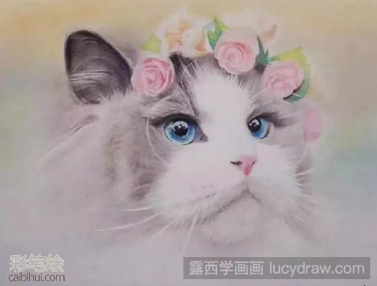 彩鉛畫布偶貓教程