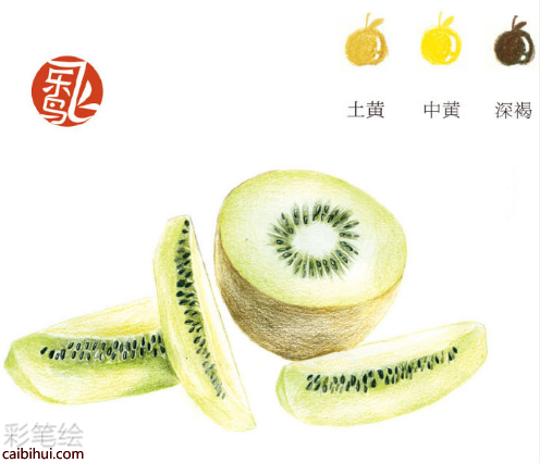 入門(mén)彩鉛畫(huà)獼猴桃教程