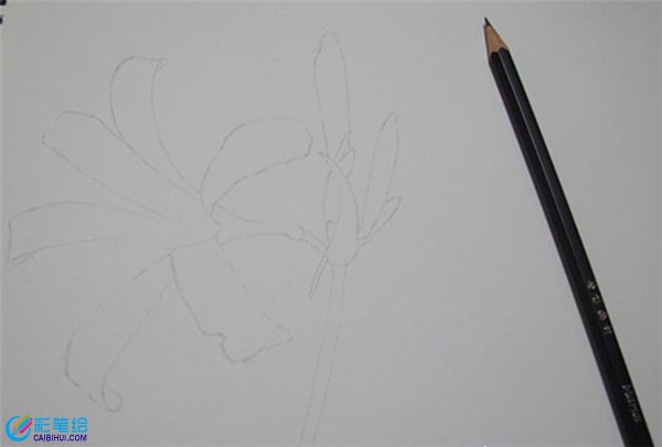 彩鉛手繪換錦花教程