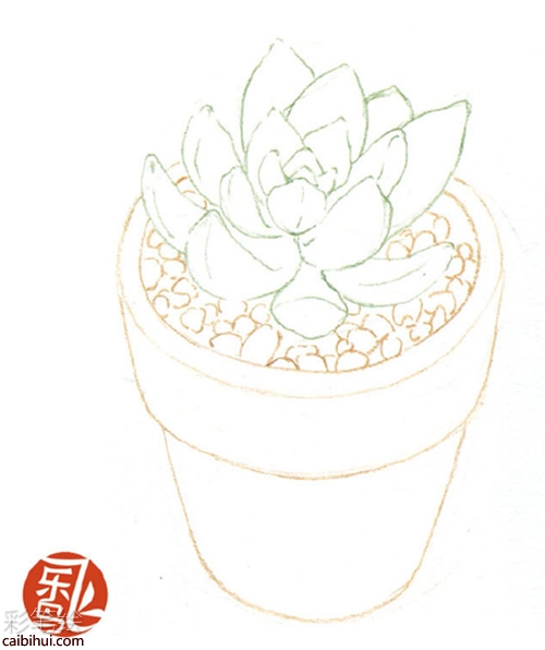 簡單的彩鉛畫多肉步驟