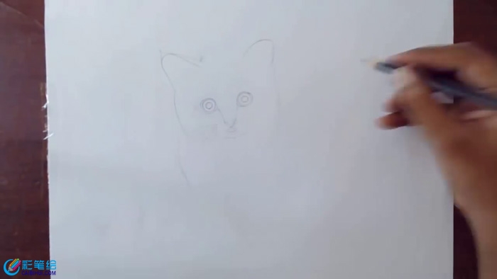 彩鉛畫小貓咪