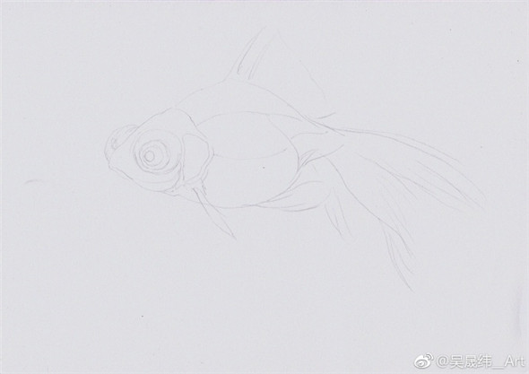 彩鉛畫動物：金魚的彩鉛畫教程