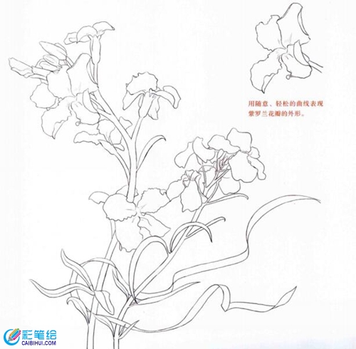 彩鉛畫紫羅蘭的步驟