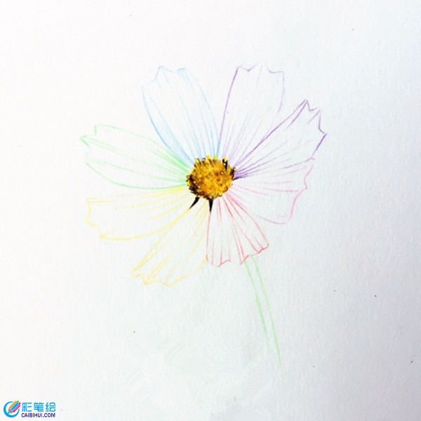 簡(jiǎn)單彩鉛花朵教程圖解：七色花的畫(huà)法