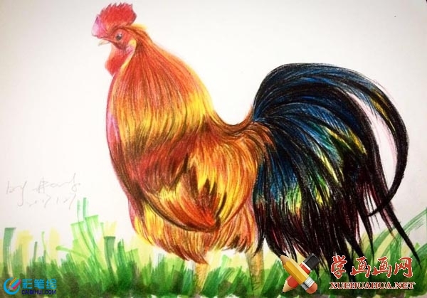 逼真大公雞彩鉛畫怎么畫