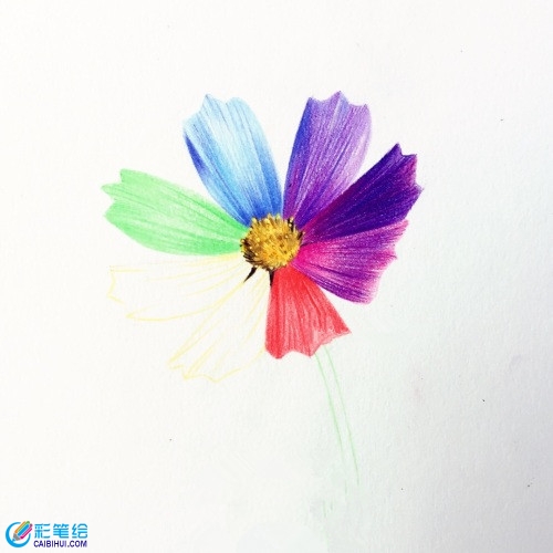 簡(jiǎn)單彩鉛花朵教程圖解：七色花的畫(huà)法