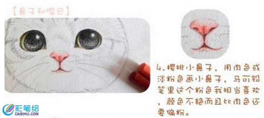 彩鉛畫基礎(chǔ)技法教學(xué)：彩鉛畫上色步驟精講