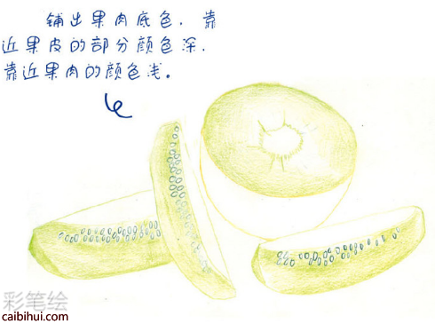 入門(mén)彩鉛畫(huà)獼猴桃教程