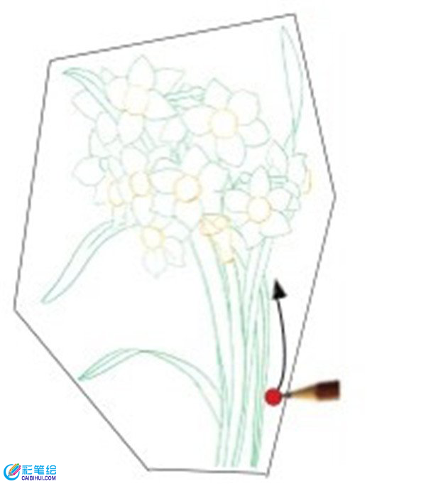 彩鉛畫水仙花的畫法
