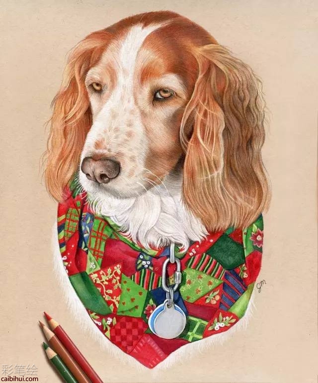可愛動物萌寵動漫寫實彩鉛畫