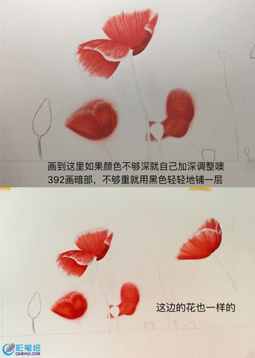 彩鉛虞美人教程