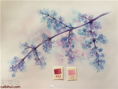 彩鉛畫花卉步驟圖
