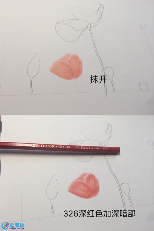 彩鉛虞美人教程