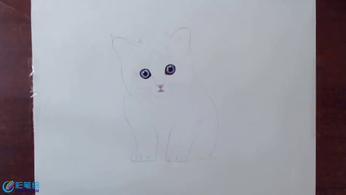 彩鉛畫小貓咪