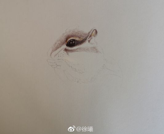 圓珠筆畫動物