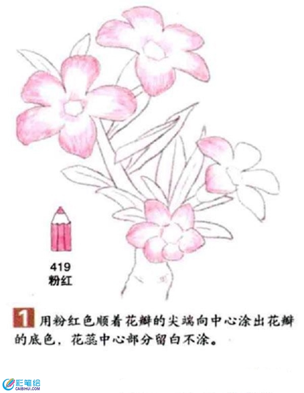 沙漠玫瑰彩鉛畫怎么畫？彩鉛畫花卉繪畫教程