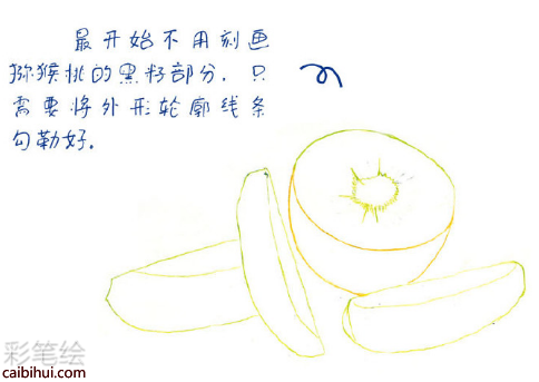 入門(mén)彩鉛畫(huà)獼猴桃教程