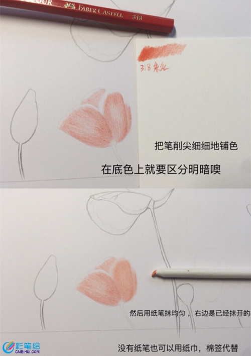 彩鉛虞美人教程