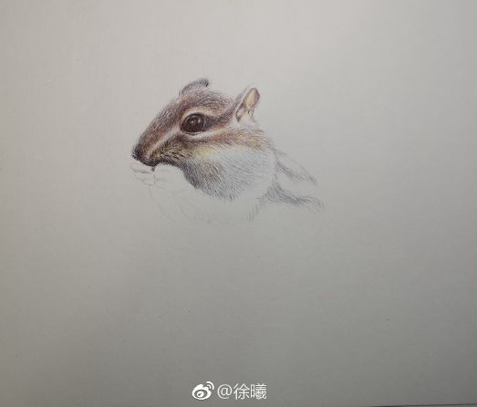 圓珠筆畫動物