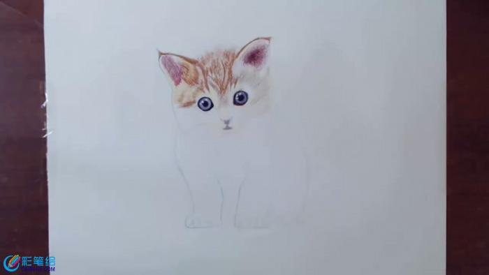 彩鉛畫小貓咪