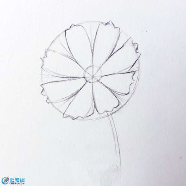 簡(jiǎn)單彩鉛花朵教程圖解：七色花的畫(huà)法