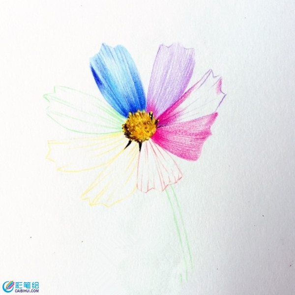 簡(jiǎn)單彩鉛花朵教程圖解：七色花的畫(huà)法