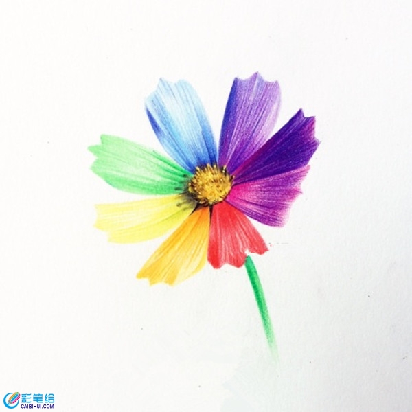 簡(jiǎn)單彩鉛花朵教程圖解：七色花的畫(huà)法