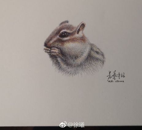 圓珠筆畫動物