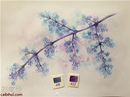彩鉛畫花卉步驟圖