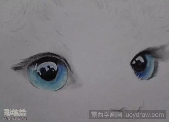 彩鉛畫布偶貓教程