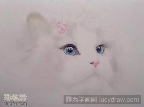 彩鉛畫布偶貓教程