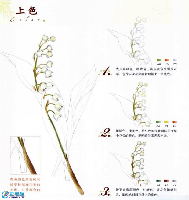 彩鉛畫(huà)鈴蘭花