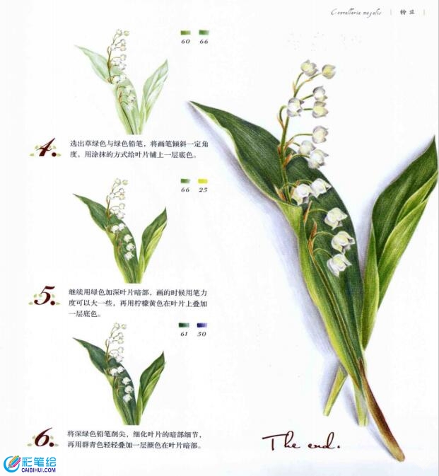 彩鉛畫(huà)鈴蘭花