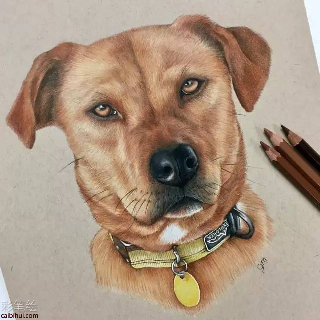 可愛動物萌寵動漫寫實彩鉛畫