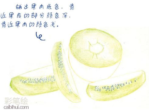 入門彩鉛畫獼猴桃教程