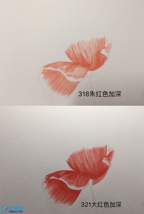 彩鉛虞美人教程