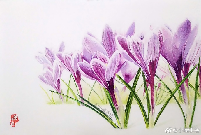 彩鉛畫(huà)花卉好心情