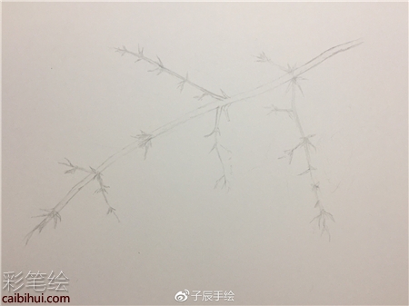 彩鉛畫花卉步驟圖